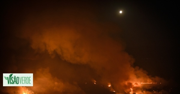 Un incendie dans la Serra da Estrela inquiète à Orjais (Covilhã) et Famalicão da Serra (Guarda)